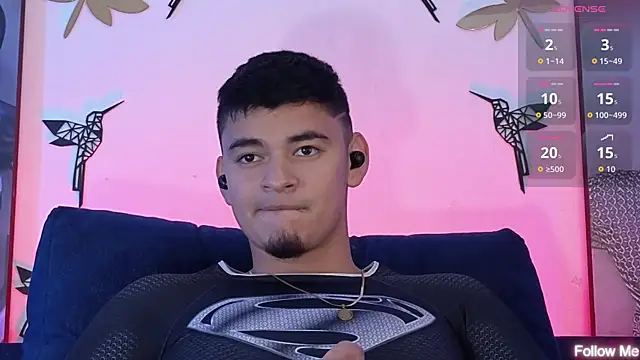 VikoHands webcam