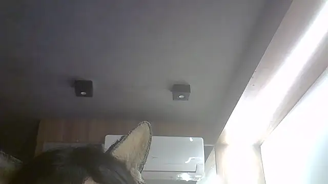 SkinnyKitten webcam