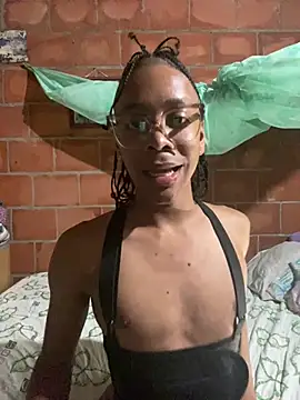 TenderTeacher webcam