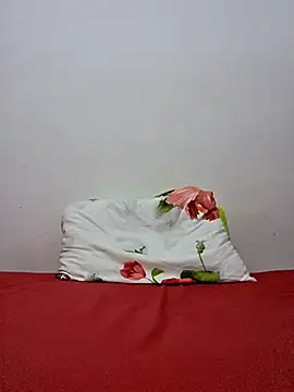 altinya webcam