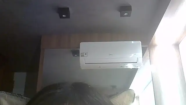 SkinnyKitten webcam