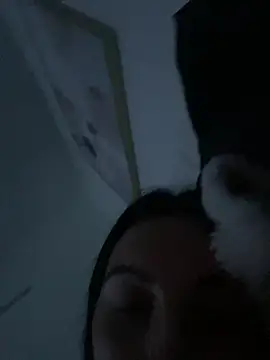 auds08 webcam