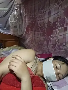 Hiha-nn webcam