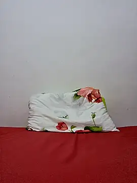 altinya webcam