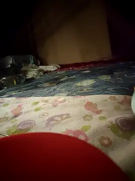 -Tara-a webcam
