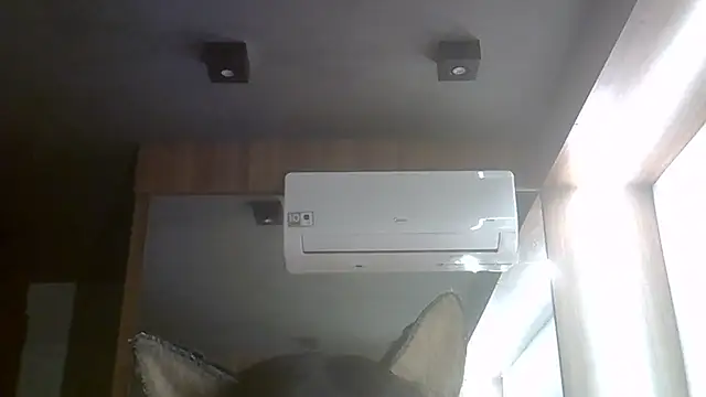 SkinnyKitten webcam