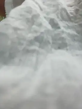 MerlinDave live cam