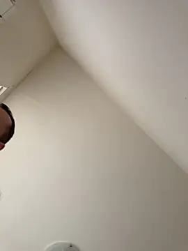 kotkite webcam