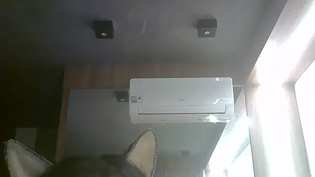 SkinnyKitten live cam