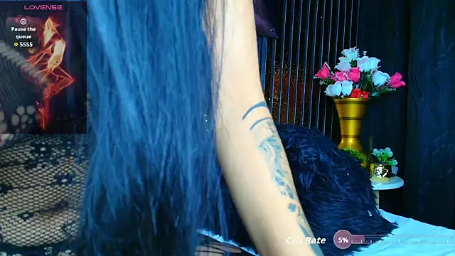 perfectmatch_ webcam