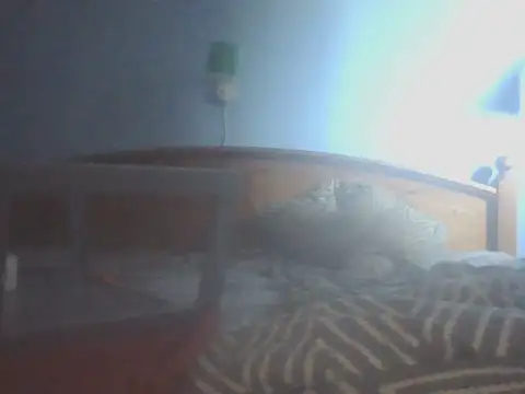 SHARPSkinhead webcam
