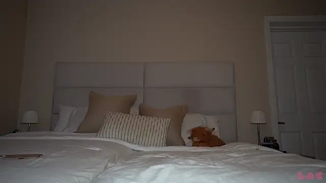 baedot webcam