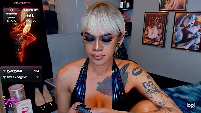 StellaStrong30 webcam