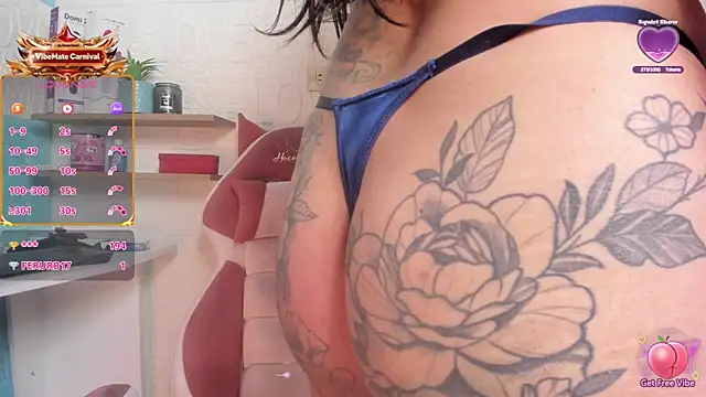 SALOME_KORLAND webcam