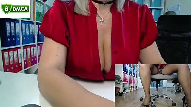 secret-office webcam