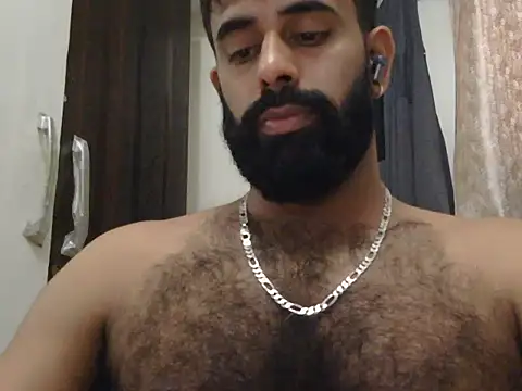 indianhairybull