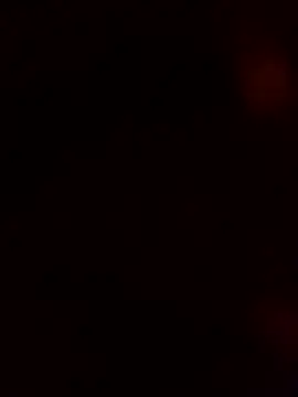 Freakzmexx