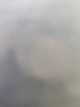 Hgay6935