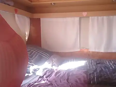 Sylly webcam