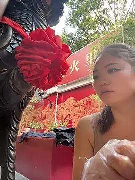 xiaoxiaocheng678 webcam
