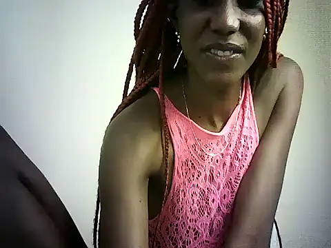 DelteAfriq webcam