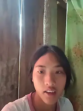 Hoa-tuylip