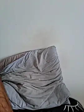 molozeb webcam