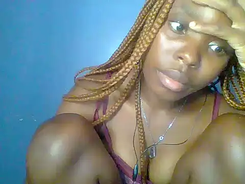 Chocolate-brownie webcam