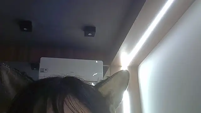SkinnyKitten live cam