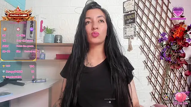 SALOME_KORLAND webcam