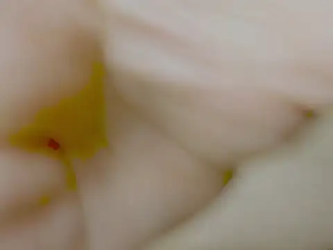 Babe-sofi webcam