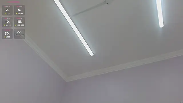 kimara_lion webcam