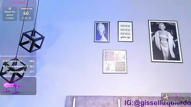 Liincostelloo webcam