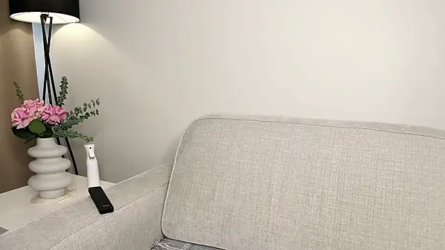 lauremestler- webcam