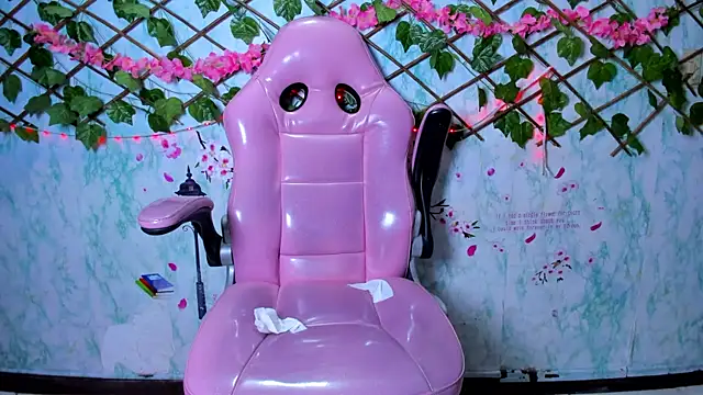 Pamesmith webcam