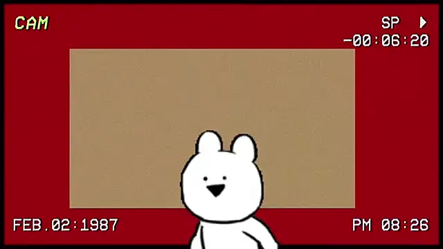 SSF-888 webcam