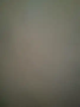 TAMI61 webcam