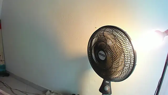 cataberrio webcam