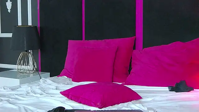 Areina webcam