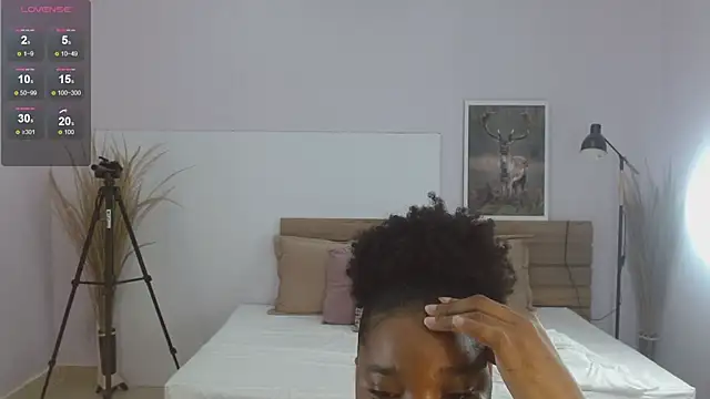 kimara_lion webcam