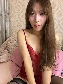 huinei_a webcam