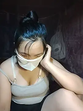 Hiha-nn webcam