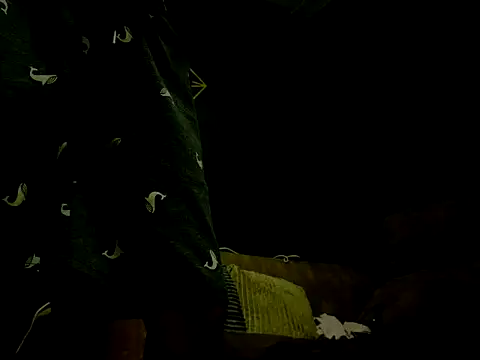 Noah_Brookss live cam
