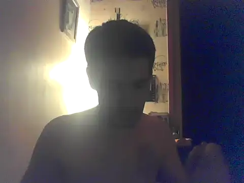 Hgay6935 webcam