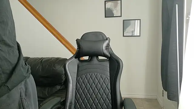 Thekodyy webcam