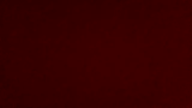 Christian_Netta webcam