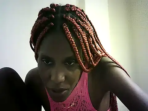 DelteAfriq webcam