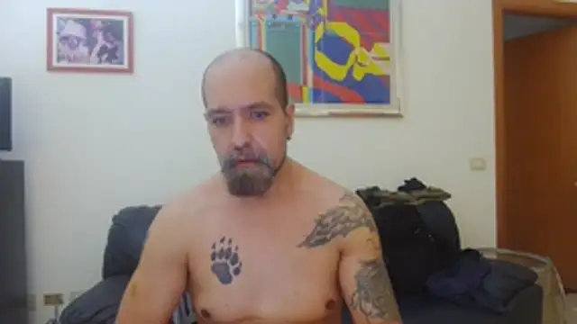 AMIRDIB2025 webcam