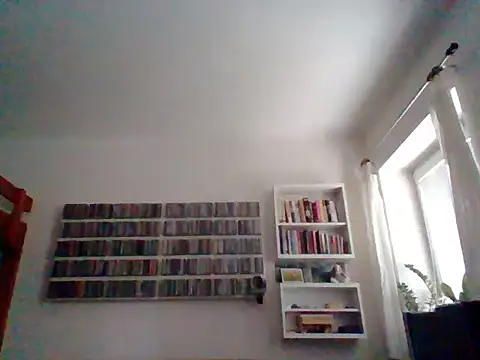 daviixx webcam