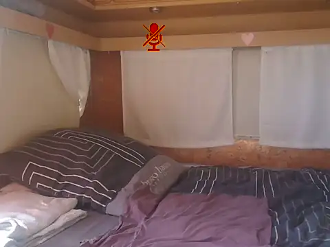 Sylly webcam